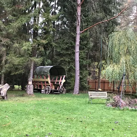 Modrzewiowy Dworek * Zyzdrojowy Piecek